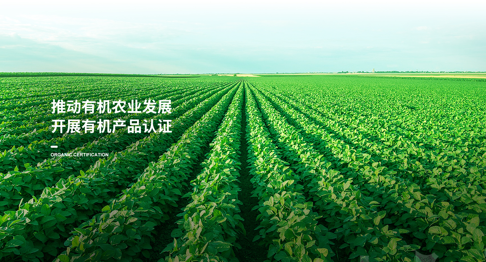 手機