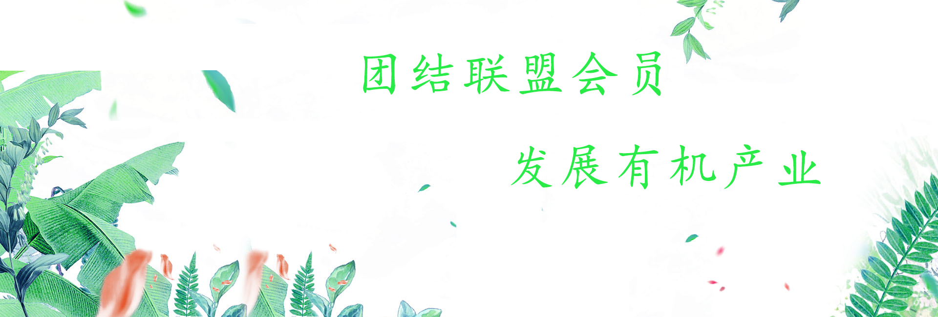 團結聯盟會員，發展有機產業